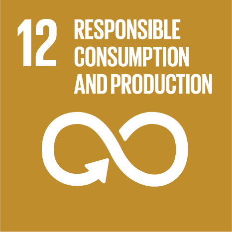 SDG 12 — Responsible Consumption and Production